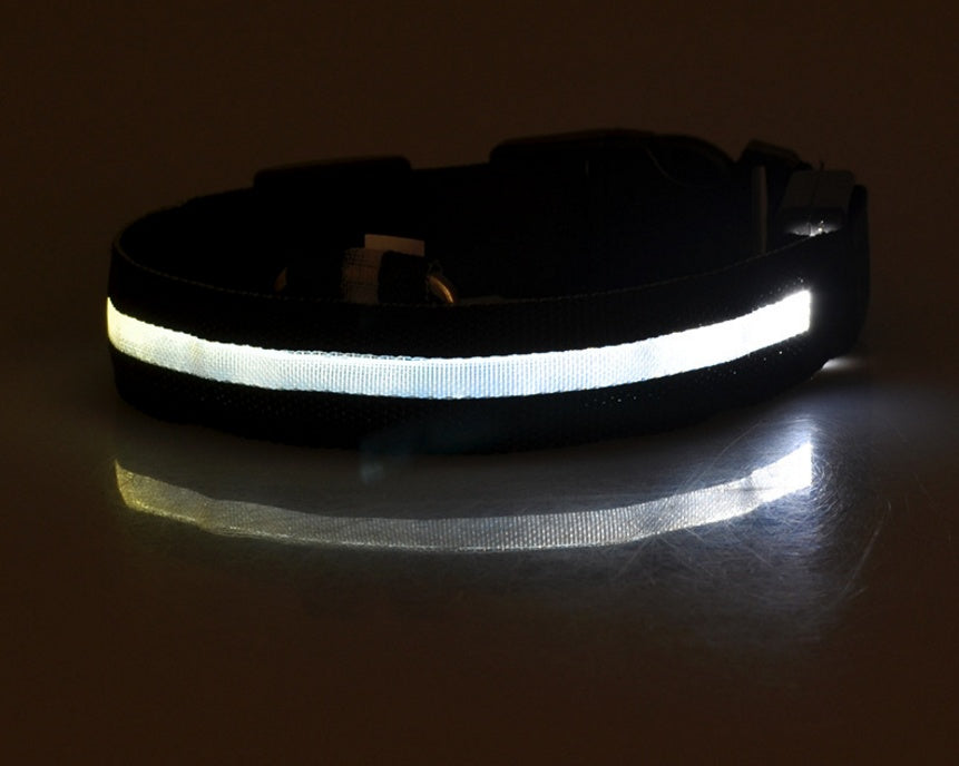 LED Glow-in-Dark Dog Collar