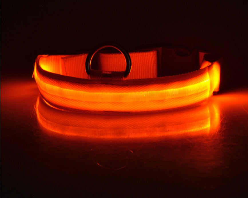 LED Glow-in-Dark Dog Collar