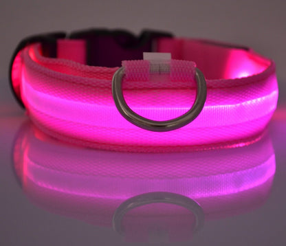 LED Glow-in-Dark Dog Collar