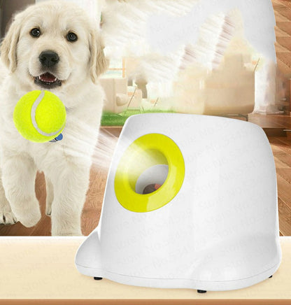 Automatic Interactive Dog Ball Launcher