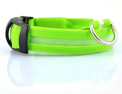 LED Glow-in-Dark Dog Collar