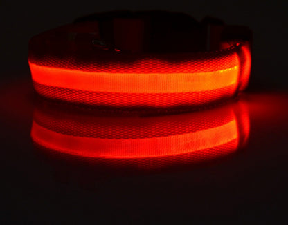 LED Glow-in-Dark Dog Collar