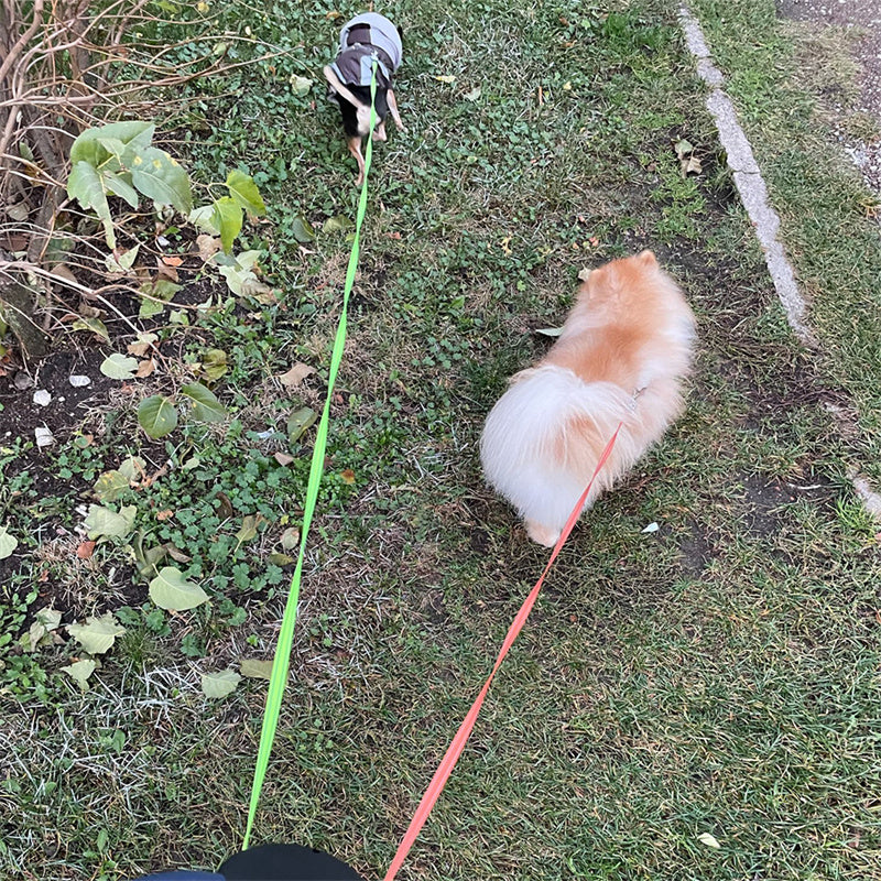 Retractable Dual Dog Leash