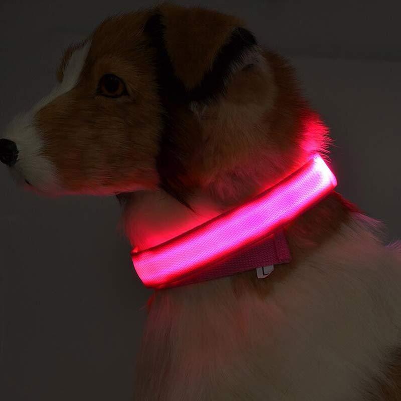 LED Glow-in-Dark Dog Collar