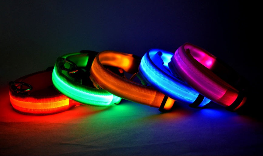 LED Glow-in-Dark Dog Collar