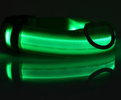 LED Glow-in-Dark Dog Collar