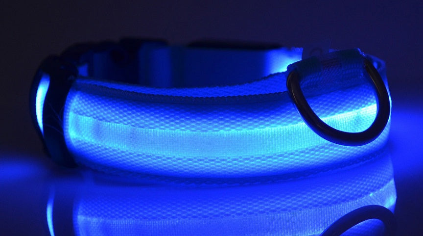 LED Glow-in-Dark Dog Collar