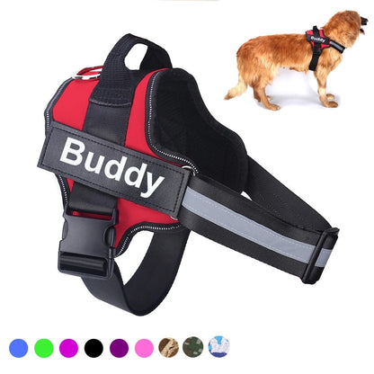 Personalized No-Pull Dog Harness