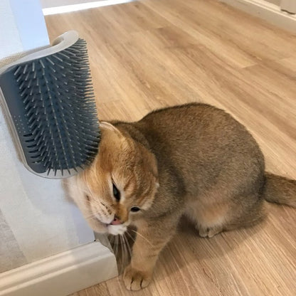 Self-Grooming Cat Brush